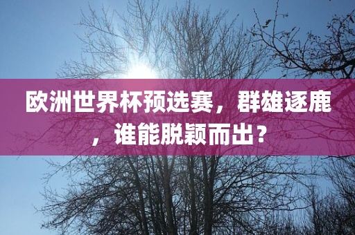 欧洲世界杯预选赛，群雄逐鹿，谁能脱颖而出？