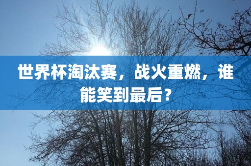 世界杯淘汰赛，战火重燃，谁能笑到最后？
