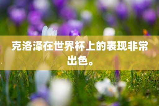 克洛泽在世界杯上的表现非常出色。