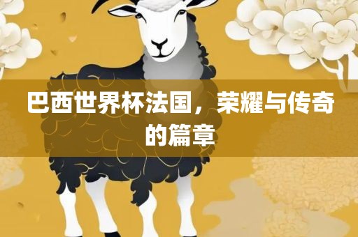 巴西世界杯法国，荣耀与传奇的篇章