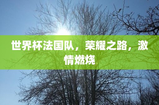 世界杯法国队，荣耀之路，激情燃烧