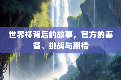 世界杯背后的故事，官方的筹备、挑战与期待