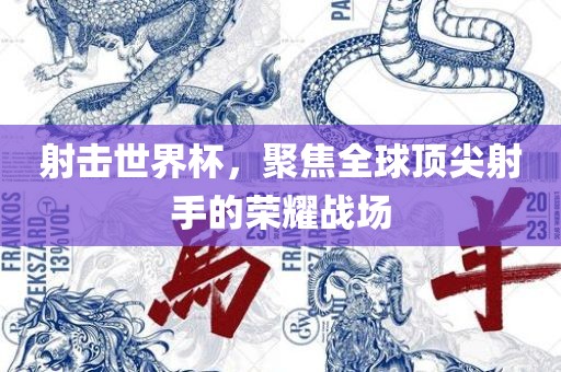 射击世界杯，聚焦全球顶尖射手的荣耀战场