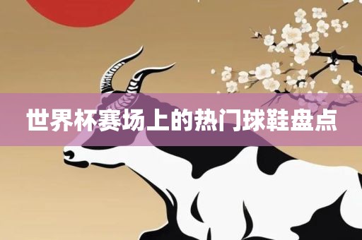 世界杯赛场上的热门球鞋盘点