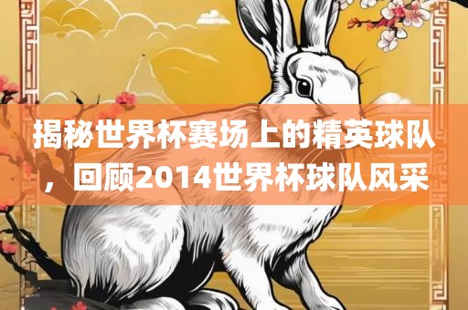 揭秘世界杯赛场上的精英球队，回顾2014世界杯球队风采