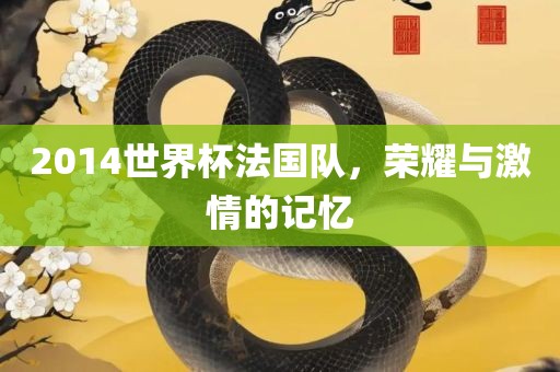 2014世界杯法国队，荣耀与激情的记忆