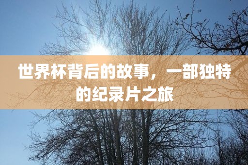 世界杯背后的故事，一部独特的纪录片之旅