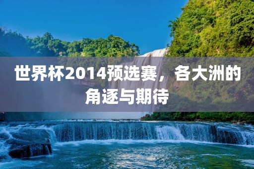 世界杯2014预选赛，各大洲的角逐与期待