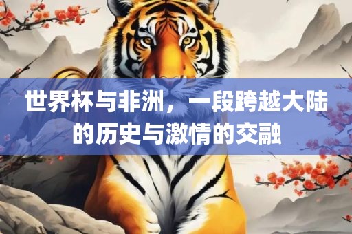 世界杯与非洲，一段跨越大陆的历史与激情的交融