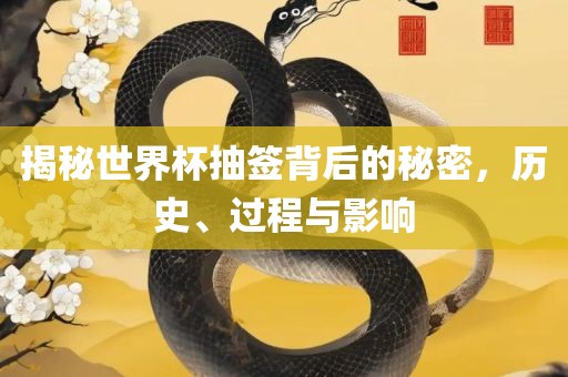 揭秘世界杯抽签背后的秘密，历史、过程与影响