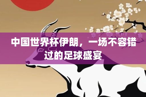 中国世界杯伊朗，一场不容错过的足球盛宴