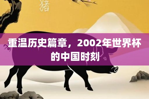 重温历史篇章，2002年世界杯的中国时刻