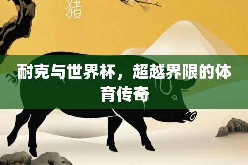 耐克与世界杯，超越界限的体育传奇