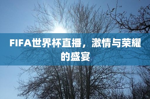 FIFA世界杯直播，激情与荣耀的盛宴