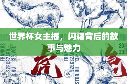 世界杯女主播，闪耀背后的故事与魅力