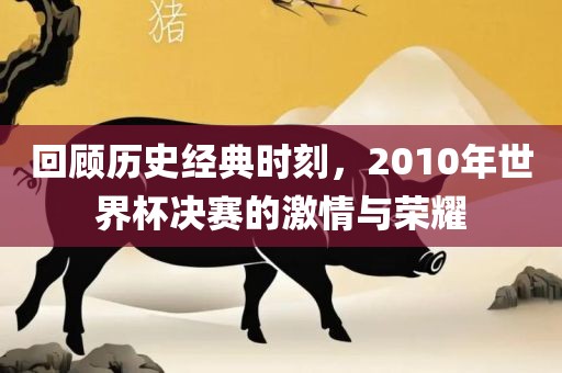 回顾历史经典时刻，2010年世界杯决赛的激情与荣耀