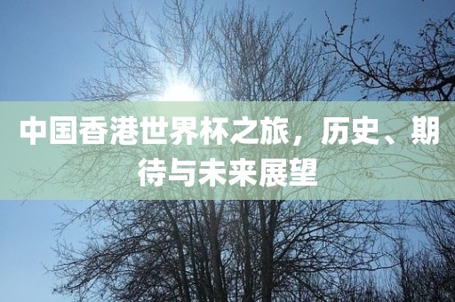 中国香港世界杯之旅，历史、期待与未来展望