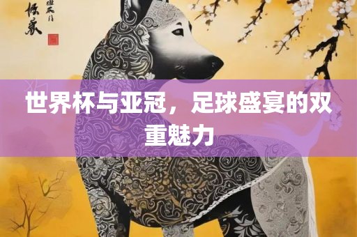 世界杯与亚冠，足球盛宴的双重魅力