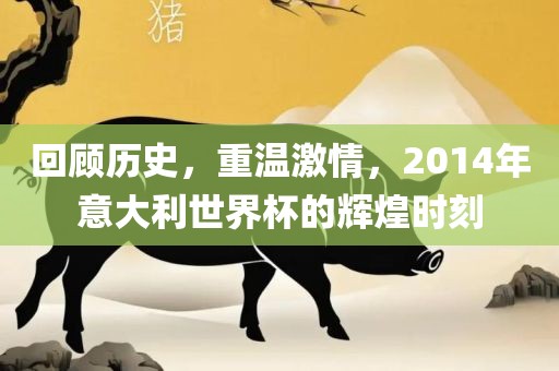 回顾历史，重温激情，2014年意大利世界杯的辉煌时刻
