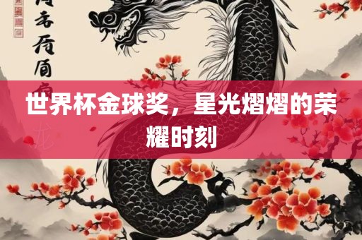世界杯金球奖，星光熠熠的荣耀时刻