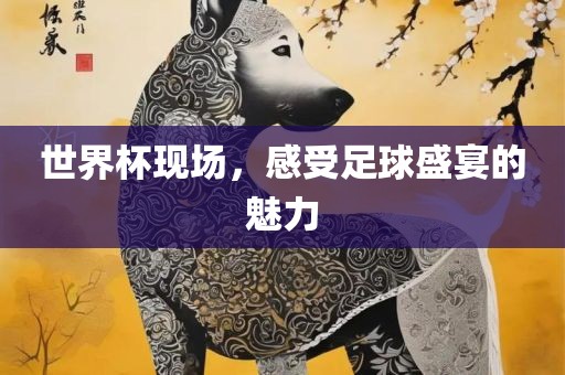世界杯现场，感受足球盛宴的魅力