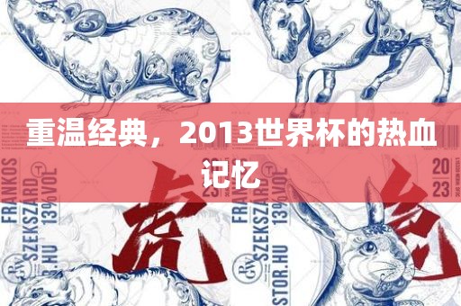 重温经典，2013世界杯的热血记忆