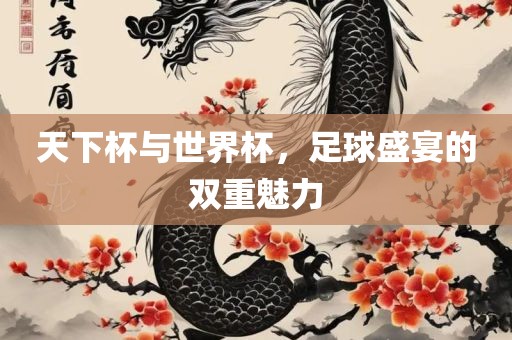 天下杯与世界杯，足球盛宴的双重魅力
