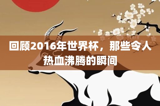 回顾2016年世界杯，那些令人热血沸腾的瞬间