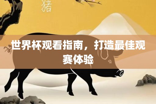 世界杯观看指南，打造最佳观赛体验