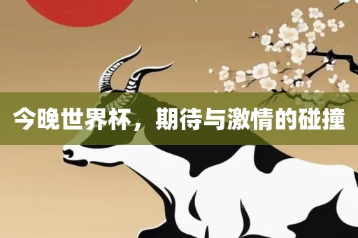 今晚世界杯，期待与激情的碰撞