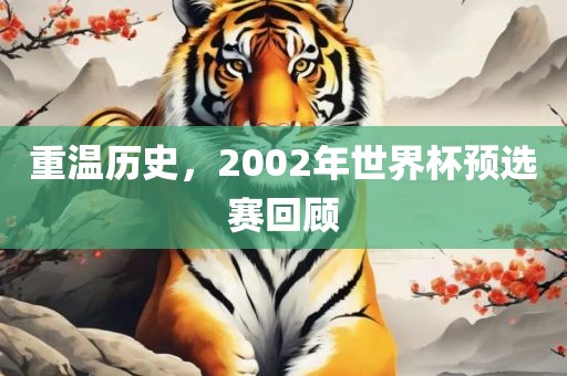 重温历史，2002年世界杯预选赛回顾