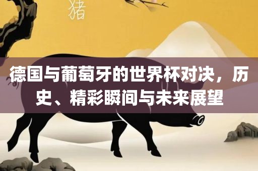 德国与葡萄牙的世界杯对决，历史、精彩瞬间与未来展望