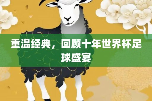 重温经典，回顾十年世界杯足球盛宴