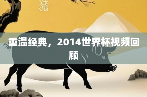 重温经典，2014世界杯视频回顾