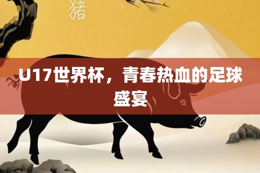 U17世界杯，青春热血的足球盛宴