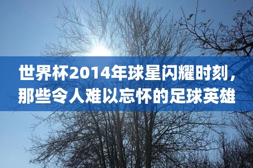 世界杯2014年球星闪耀时刻，那些令人难以忘怀的足球英雄