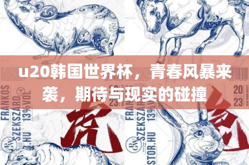 u20韩国世界杯，青春风暴来袭，期待与现实的碰撞
