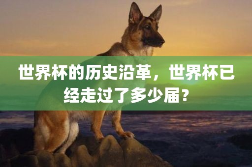 世界杯的历史沿革，世界杯已经走过了多少届？