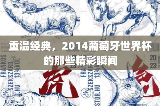 重温经典，2014葡萄牙世界杯的那些精彩瞬间