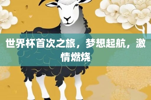 世界杯首次之旅，梦想起航，激情燃烧