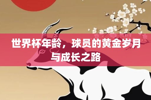 世界杯年龄，球员的黄金岁月与成长之路