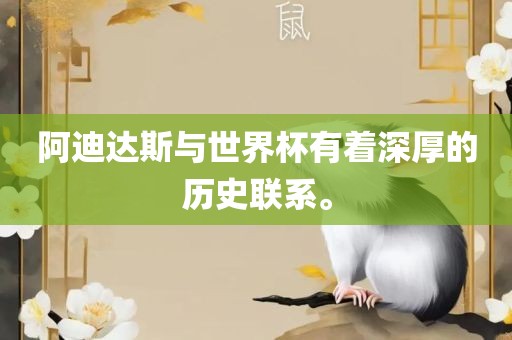 阿迪达斯与世界杯有着深厚的历史联系。