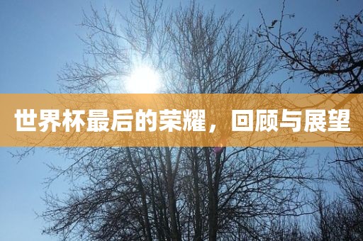 世界杯最后的荣耀，回顾与展望
