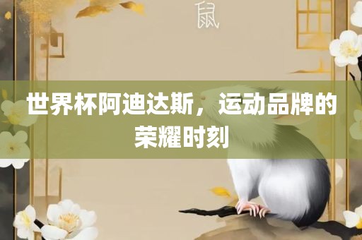 世界杯阿迪达斯，运动品牌的荣耀时刻