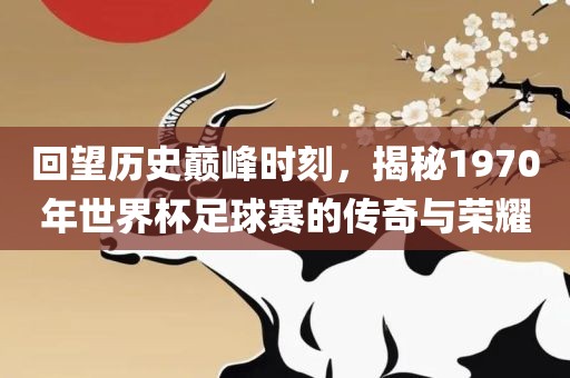 回望历史巅峰时刻，揭秘1970年世界杯足球赛的传奇与荣耀