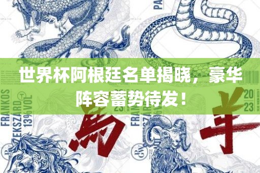 世界杯阿根廷名单揭晓，豪华阵容蓄势待发！