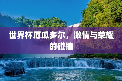 世界杯厄瓜多尔，激情与荣耀的碰撞