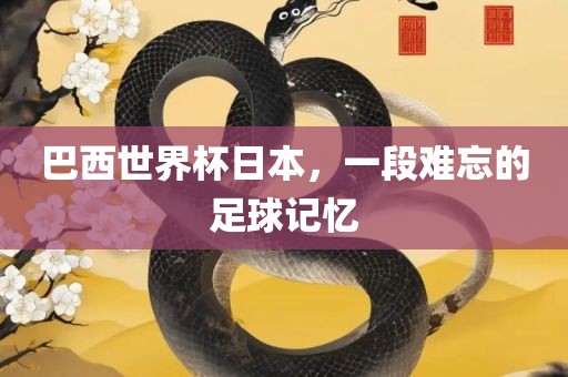 巴西世界杯日本，一段难忘的足球记忆