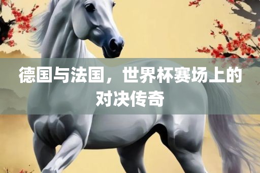 德国与法国，世界杯赛场上的对决传奇