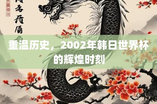 重温历史，2002年韩日世界杯的辉煌时刻